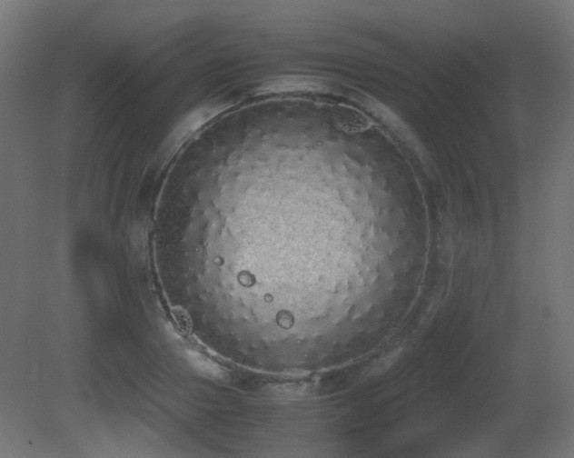 X0000081270937200701111302