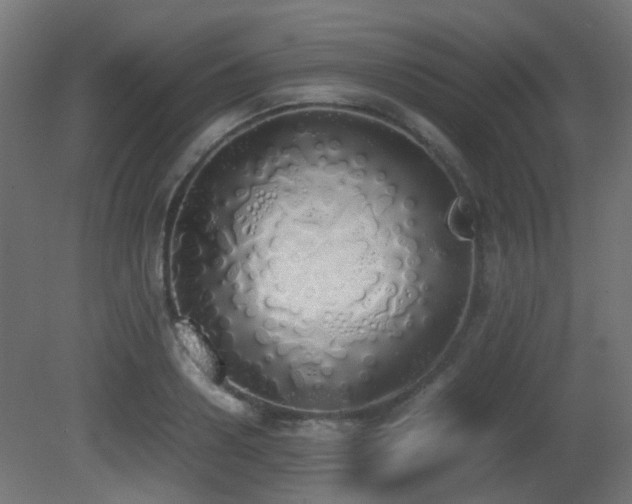 X0000081270938200701111302