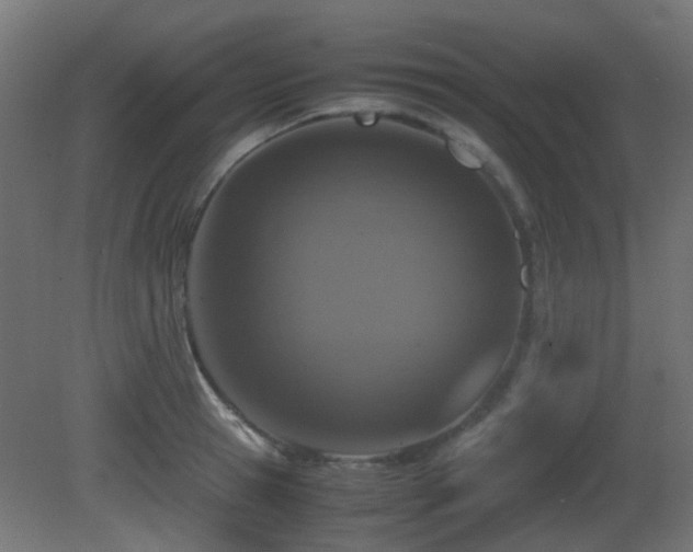 X0000081270945200701111302
