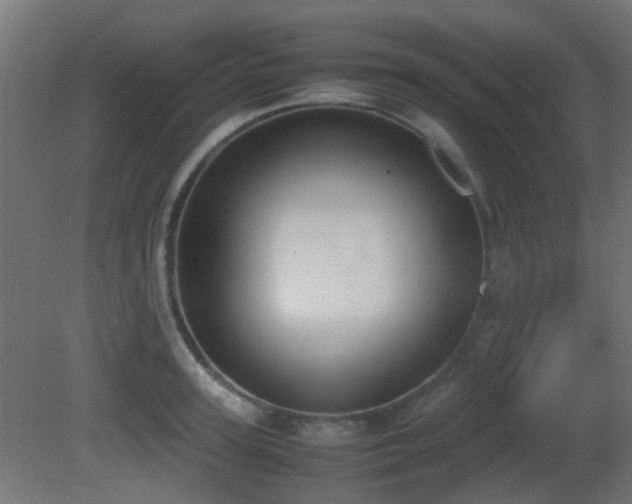 X0000081270947200701111302