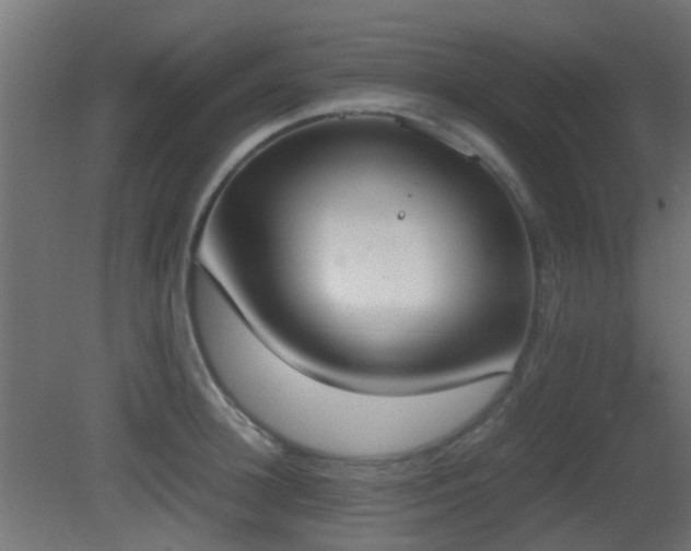 X0000081270948200701111302
