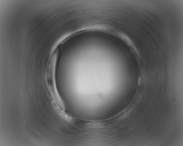 X0000081270952200701111303