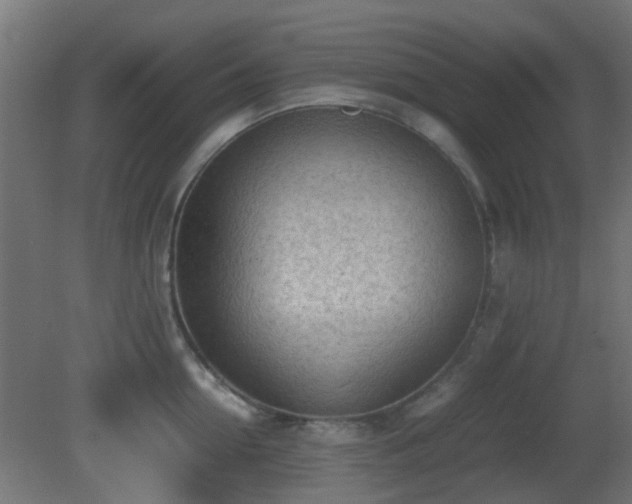 X0000081270954200701111303