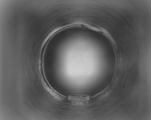 X0000081270955200701111303