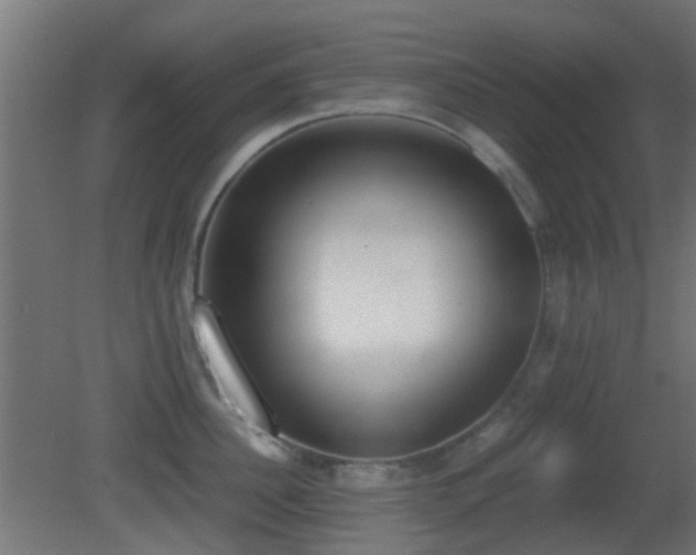 X0000081270956200701111303