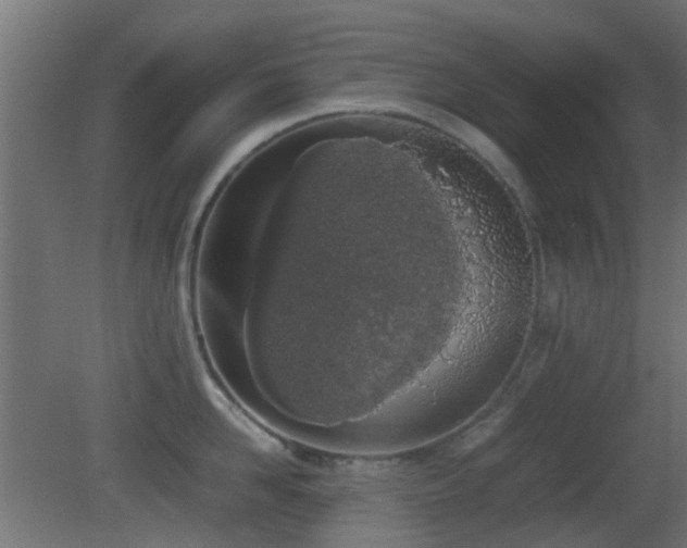 X0000081270958200701111303