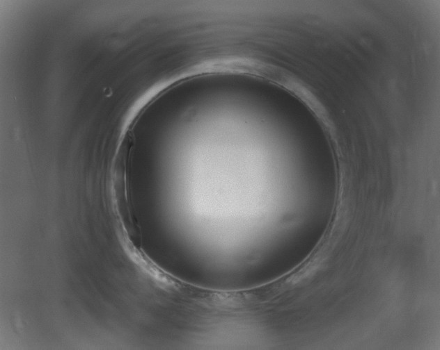 X0000081270960200701111303