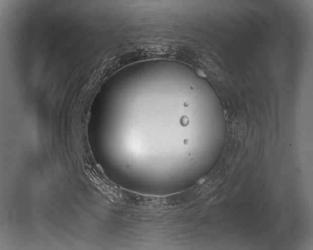 X0000081270961200701111302