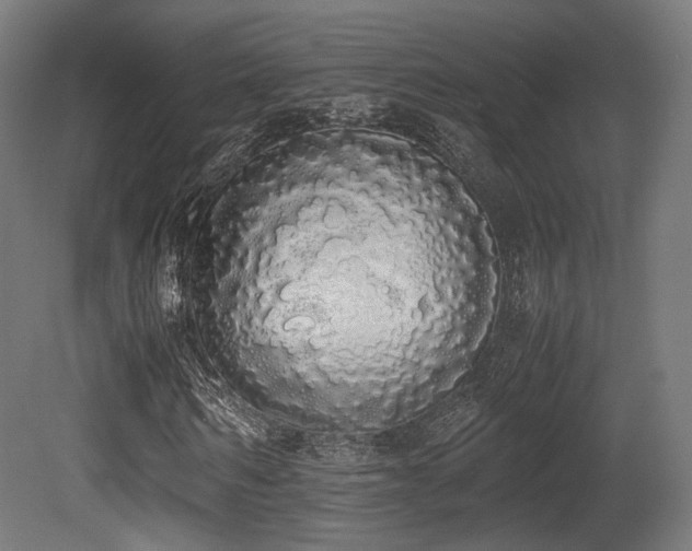 X0000081270962200701111302