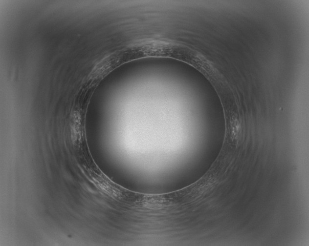 X0000081270964200701111302