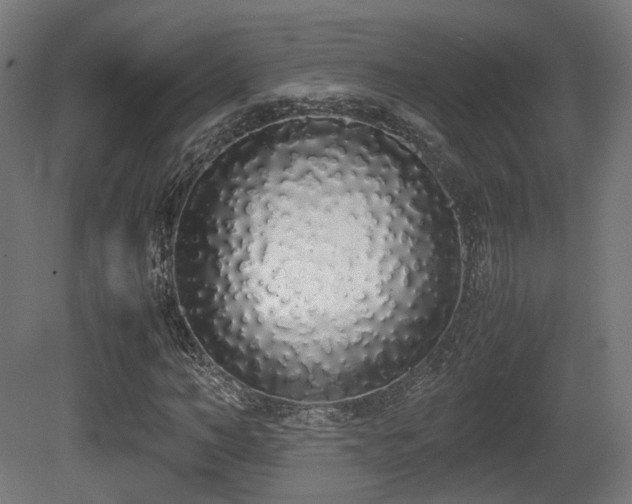 X0000081270966200701111302