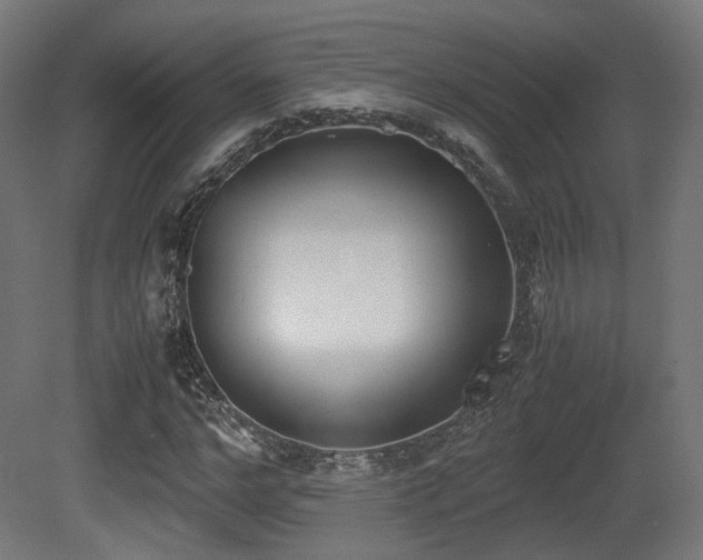 X0000081270968200701111302