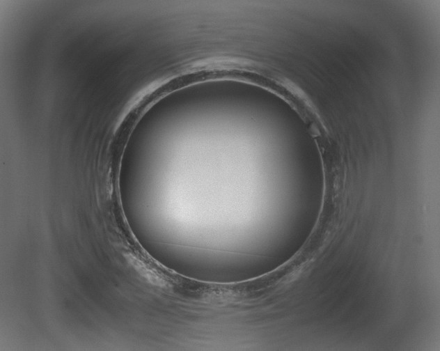 X0000081270973200701111302