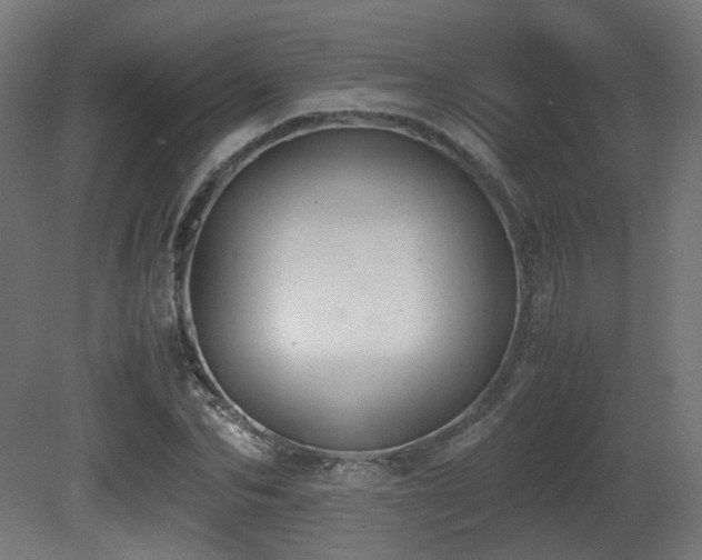 X0000081270974200701111302