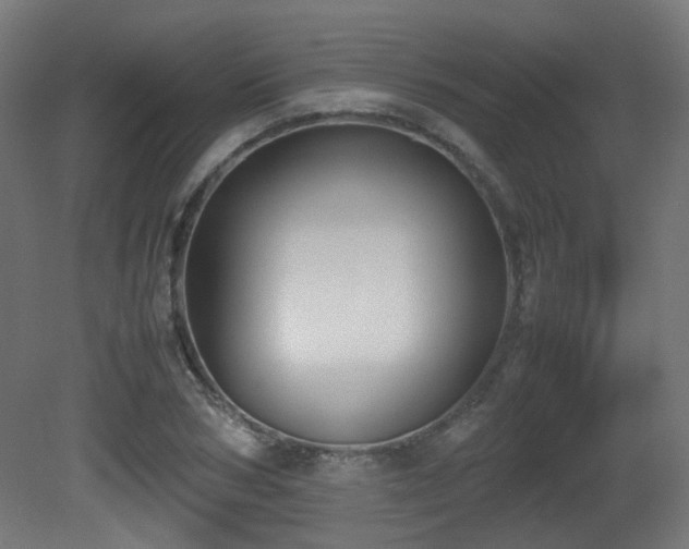 X0000081270978200701111302