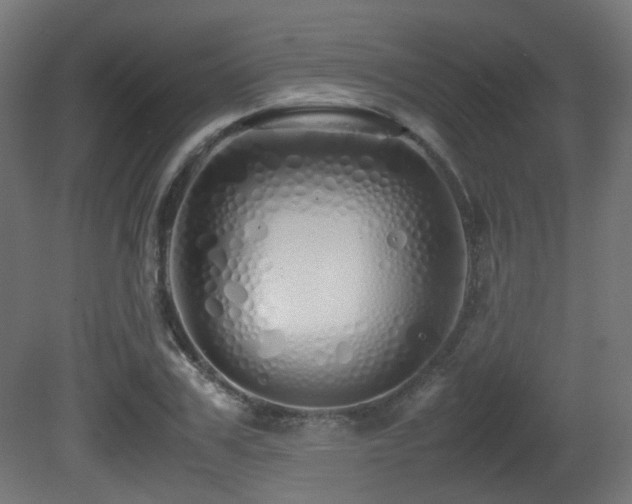 X0000081270979200701111302