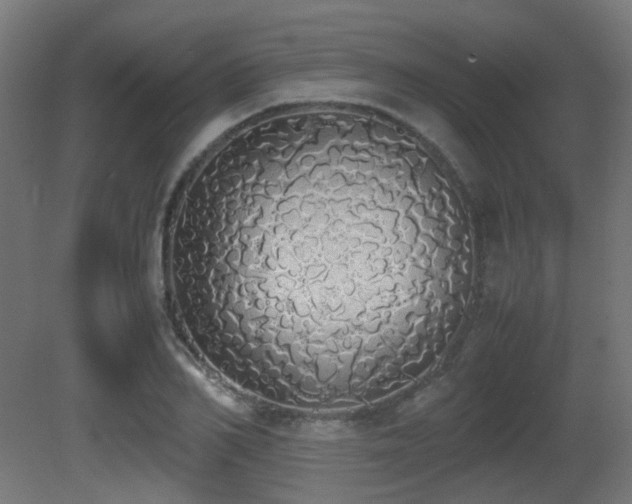 X0000081270982200701111301