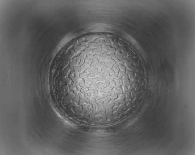 X0000081270986200701111301