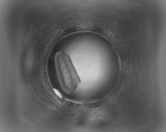 X0000081271009200701111300