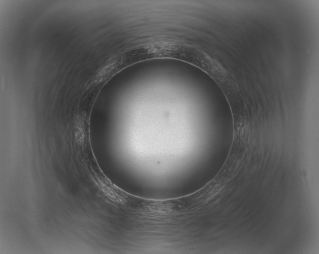 X0000081271012200701111300