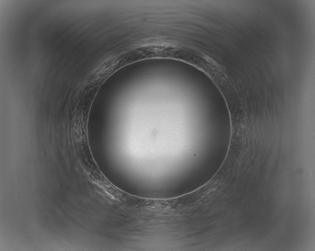 X0000081271014200701111300