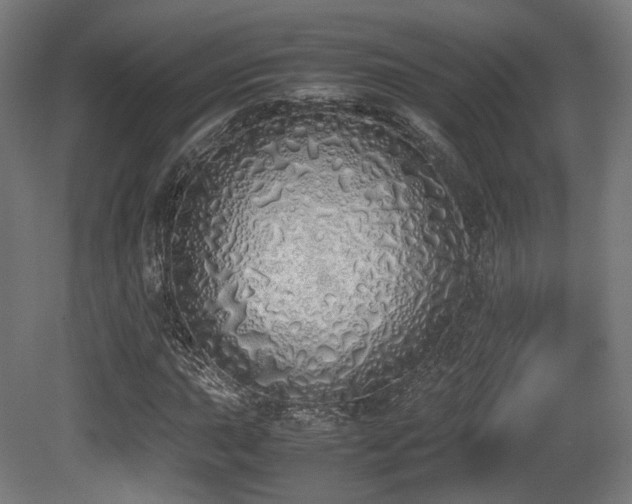 X0000081271015200701111300