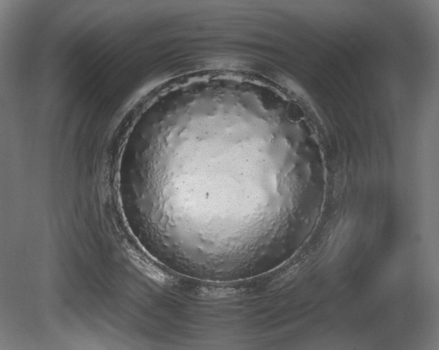 X0000081271019200701111300