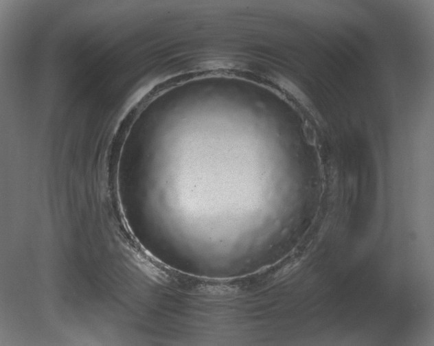 X0000081271023200701111300
