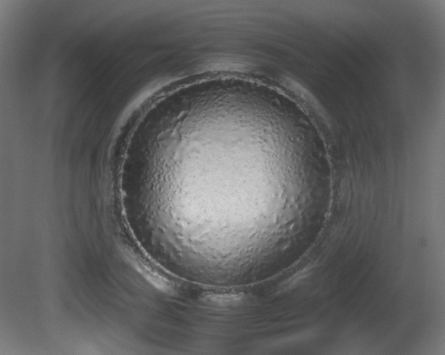 X0000081271027200701111301
