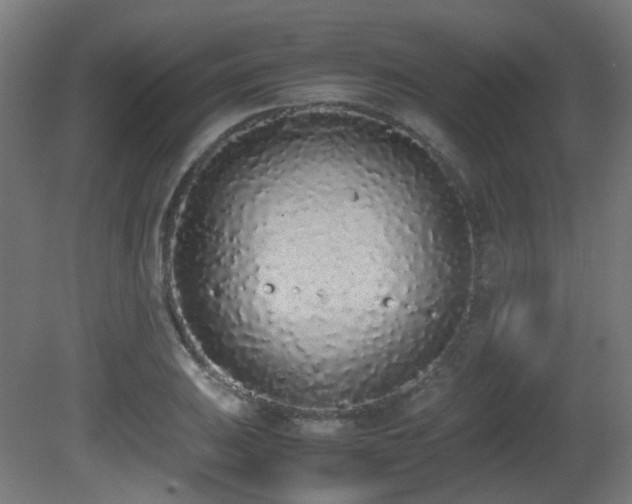 X0000081271031200701111301