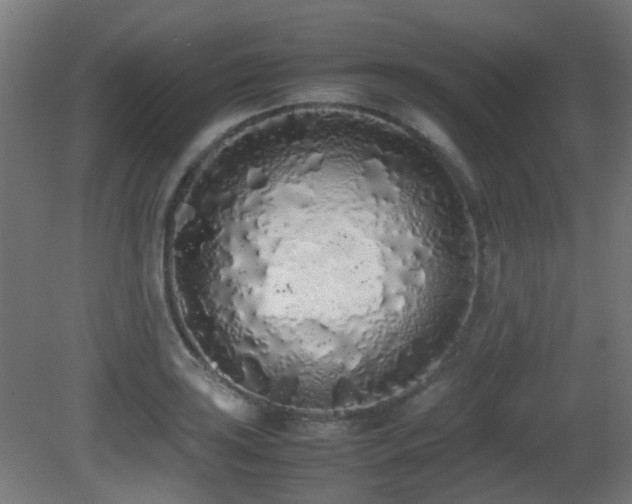 X0000081271035200701111301