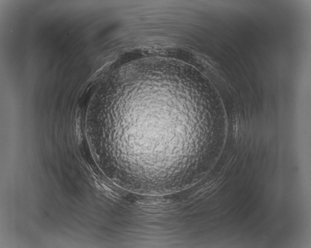 X0000081271060200701111300