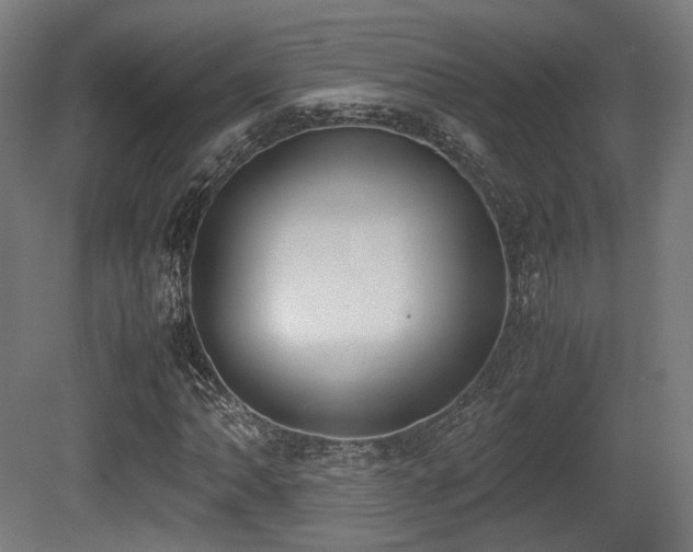 X0000081271062200701111300