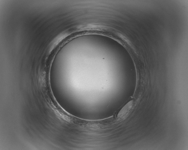 X0000081271066200701111300