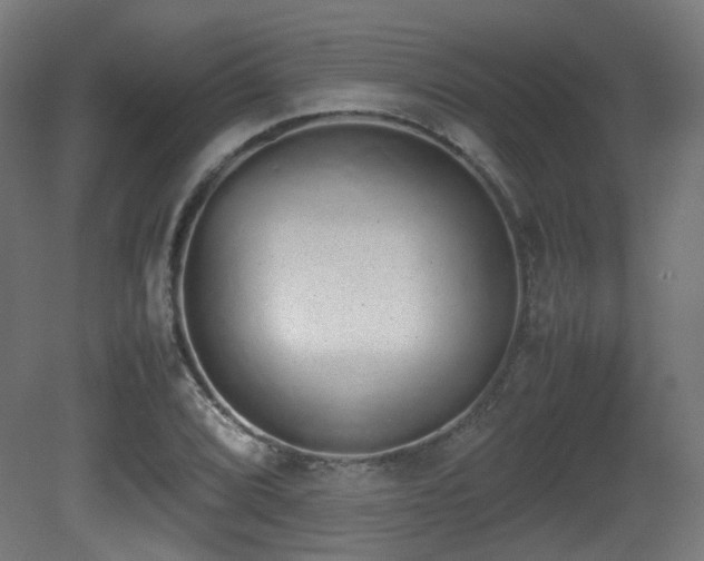 X0000081271072200701111300