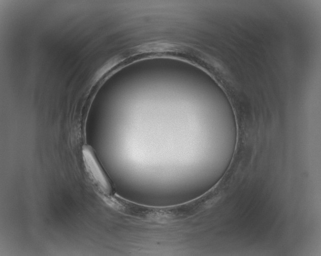 X0000081271073200701111300