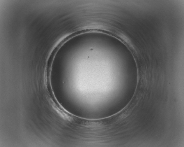 X0000081271076200701111300