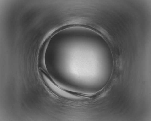 X0000081271077200701111300