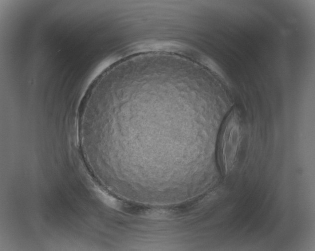 X0000081271079200701111300