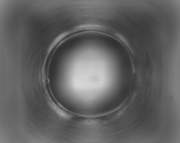 X0000081271082200701111300