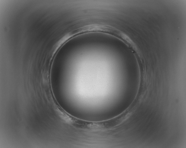 X0000081271089200701111300