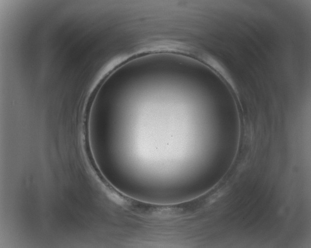 X0000081271093200701111300