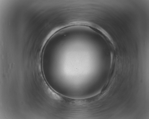 X0000081271102200701111259