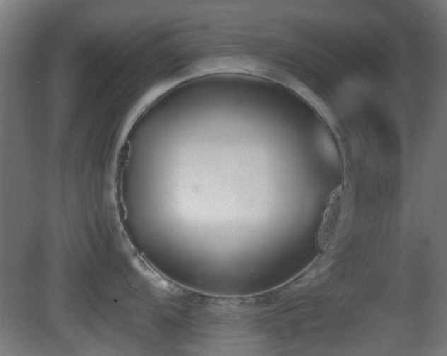 X0000081271104200701111259