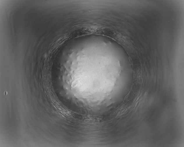X0000081271105200701111259
