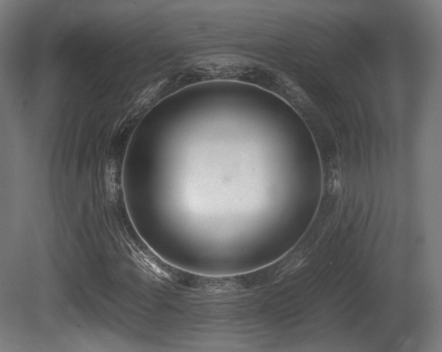 X0000081271108200701111259