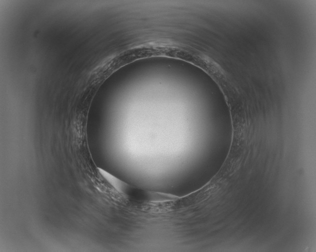 X0000081271110200701111259