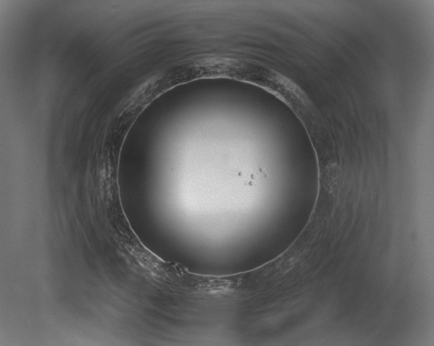 X0000081271111200701111259
