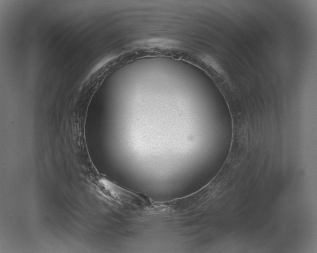 X0000081271112200701111259