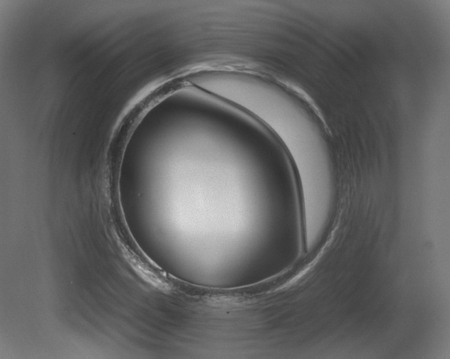 X0000081271114200701111259